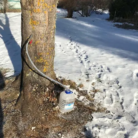 Annenhof House Pudisoo