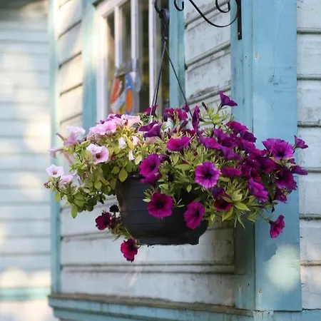 Annenhof House * Pudisoo