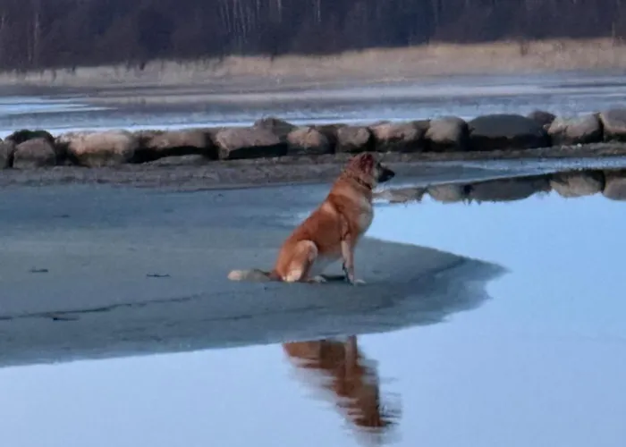 Séjour chez l'habitant Annenhof House