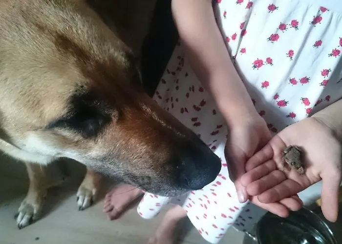 Annenhof House Kwatera prywatna *