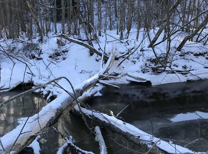 Kwatera prywatna Annenhof House *