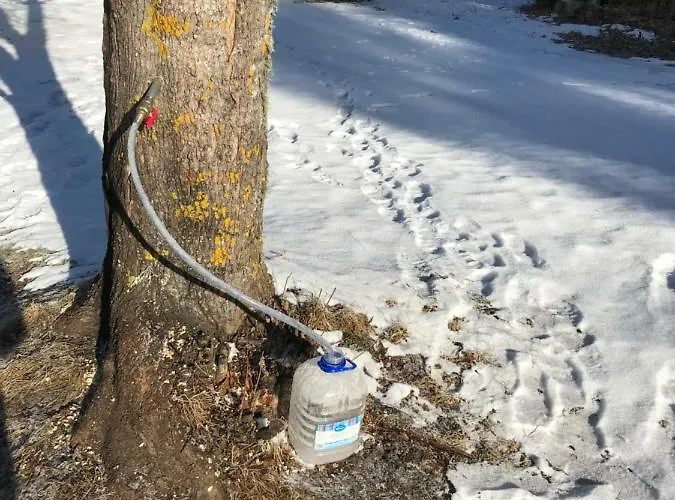 Annenhof House Pudisoo