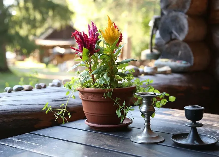 Annenhof House Séjour chez l'habitant